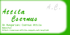 attila csernus business card